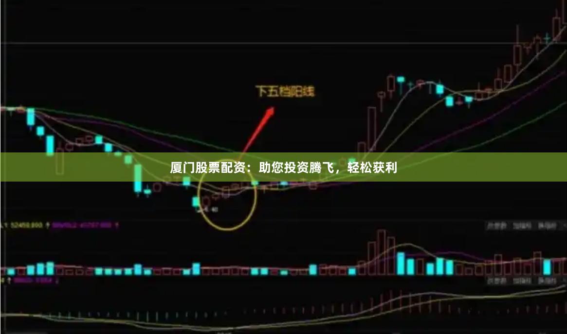 厦门股票配资：助您投资腾飞，轻松获利