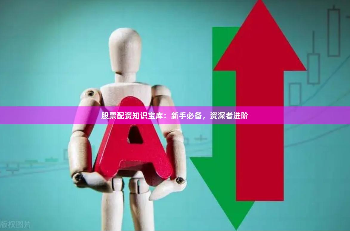 股票配资知识宝库：新手必备，资深者进阶