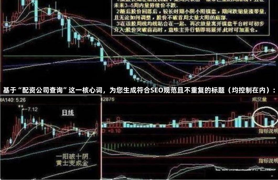 基于“配资公司查询”这一核心词，为您生成符合SEO规范且不重复的标题（均控制在内）：